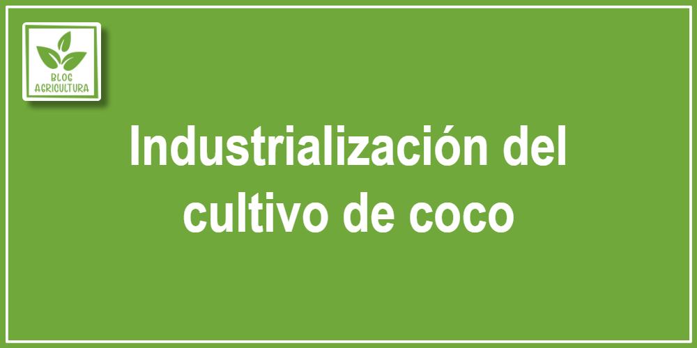 Industrialización del cultivo de coco