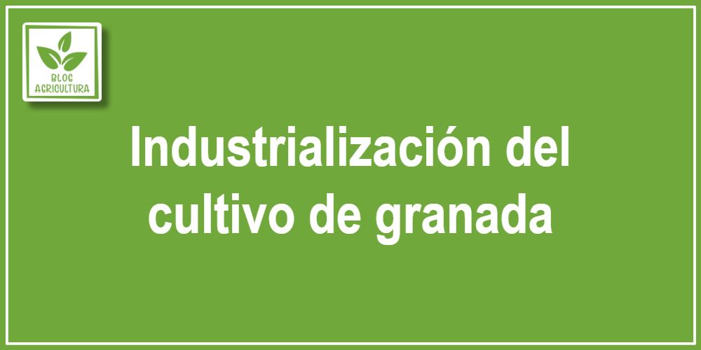 Industrialización del cultivo de granada