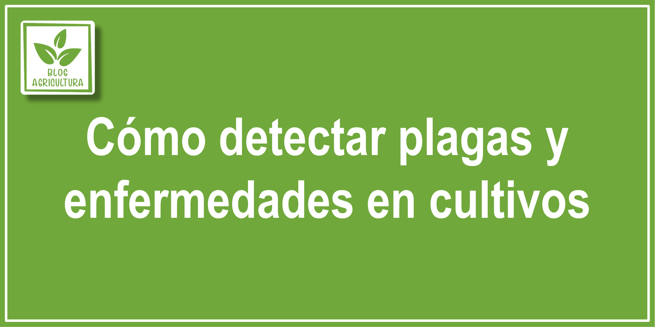 Cómo detectar plagas y enfermedades en cultivos