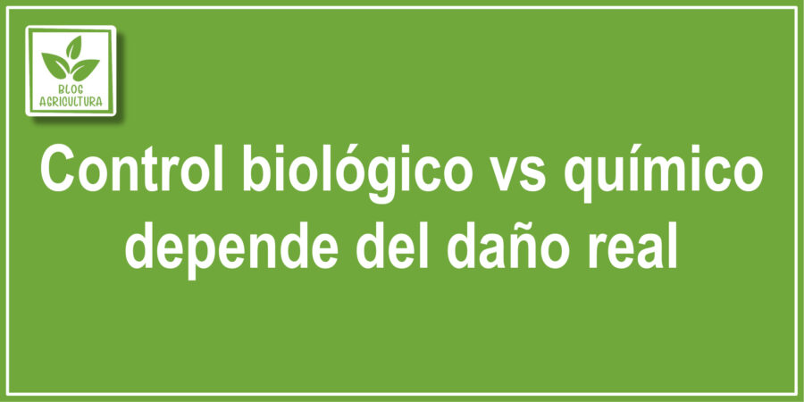Control biológico vs químico depende del daño real