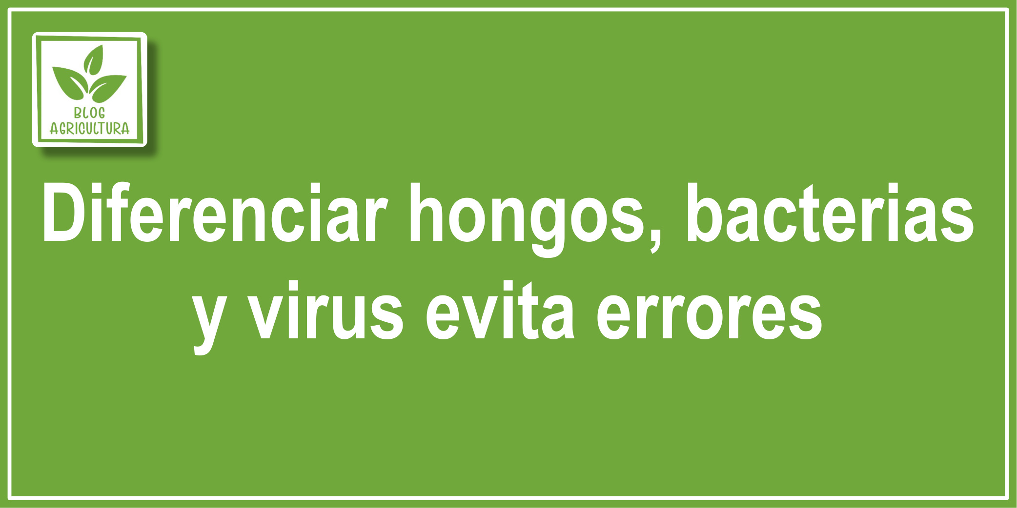 Diferenciar hongos, bacterias y virus evita errores