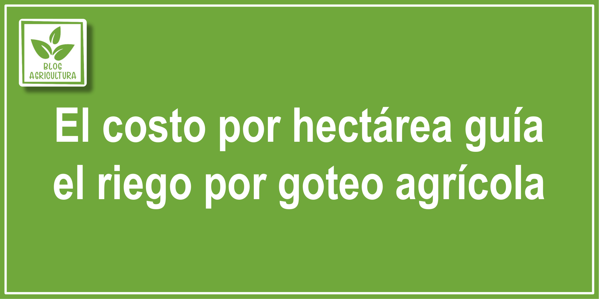 Artículo: El costo por hectárea guía el riego por goteo agrícola