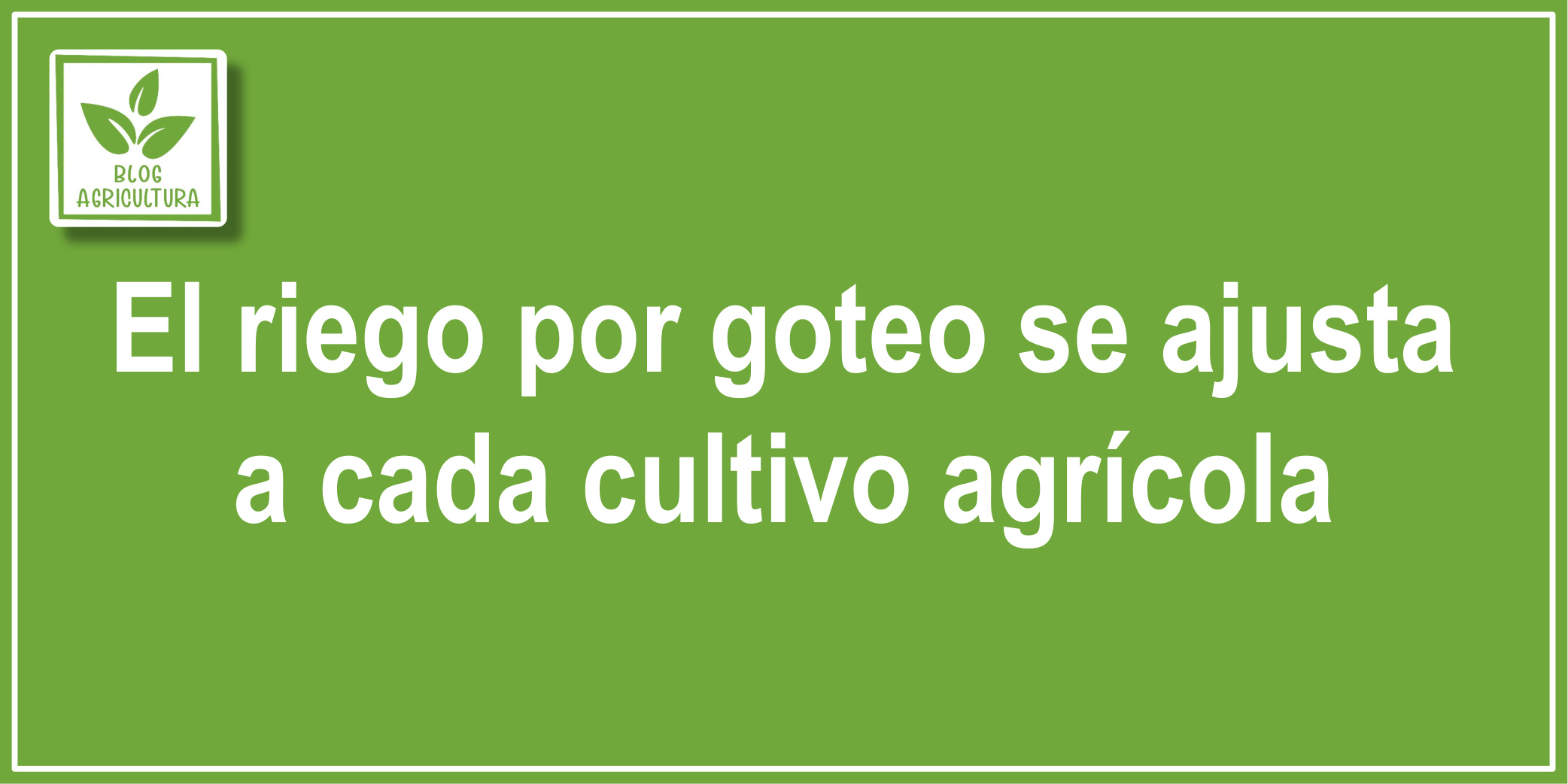 El riego por goteo se ajusta a cada cultivo agrícola