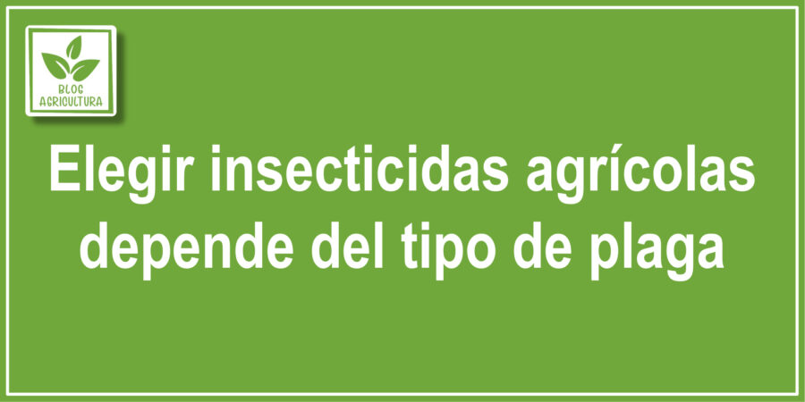 Elegir insecticidas agrícolas depende del tipo de plaga