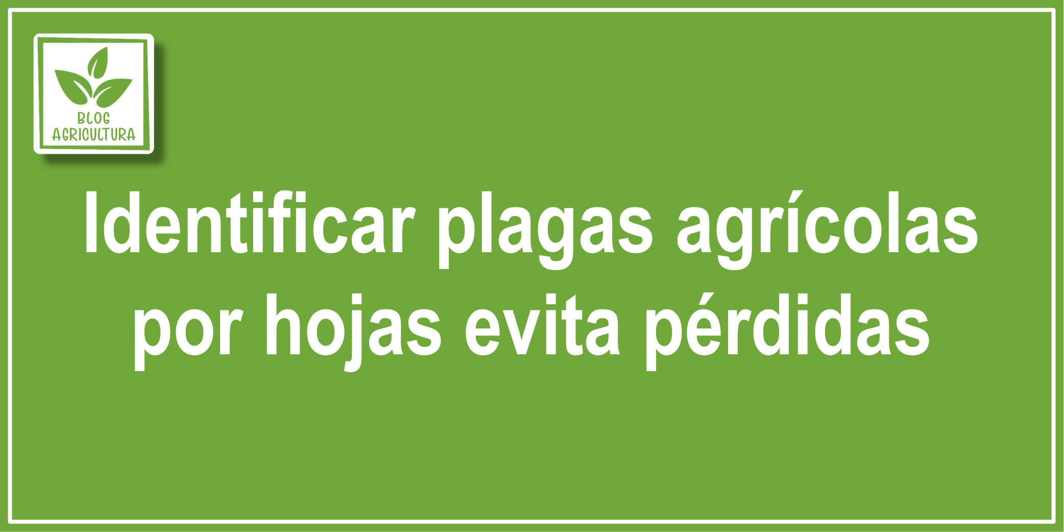 El manejo integrado de plagas para mejorar control