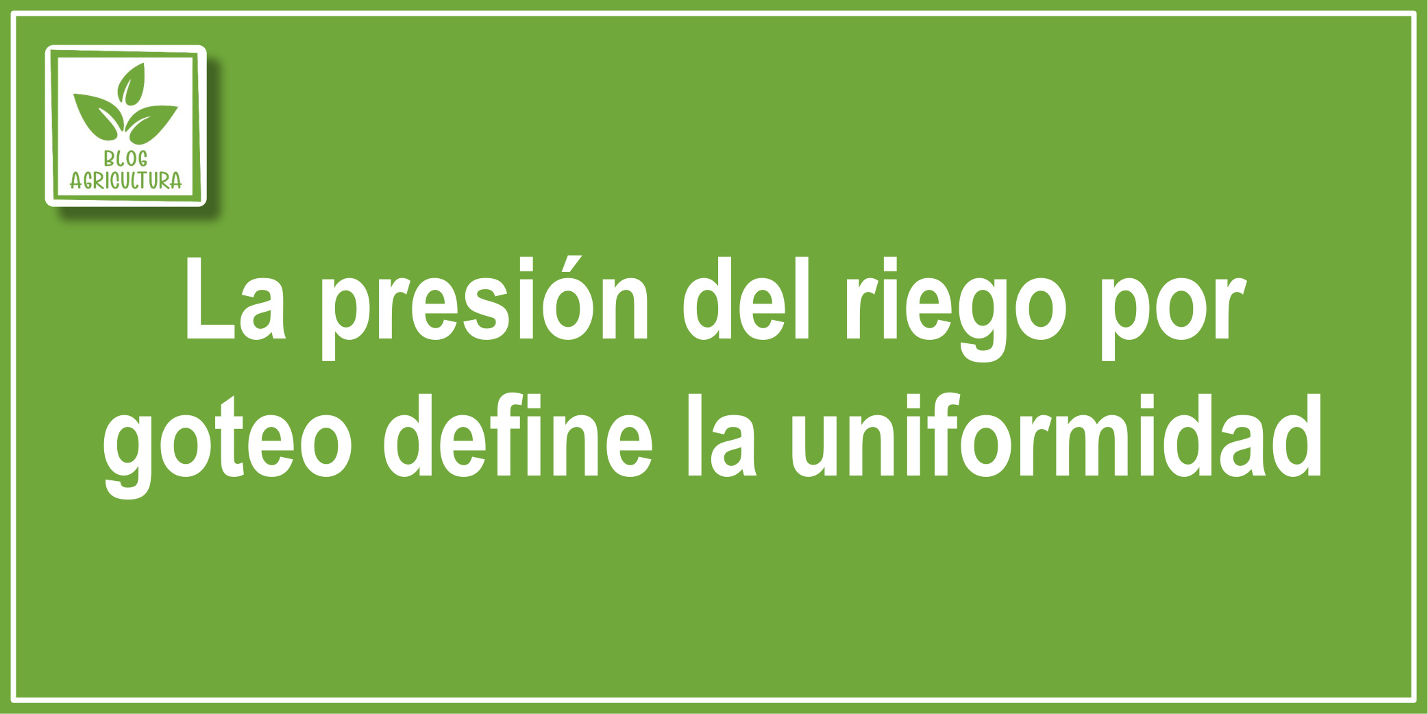 La presión del riego por goteo define la uniformidad