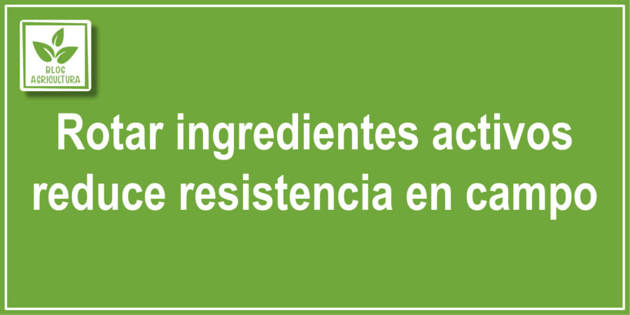 Rotar ingredientes activos reduce resistencia en campo