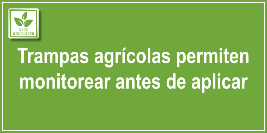 Trampas agrícolas permiten monitorear antes de aplicar