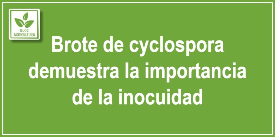 Brote de cyclospora demuestra la importancia de la inocuidad