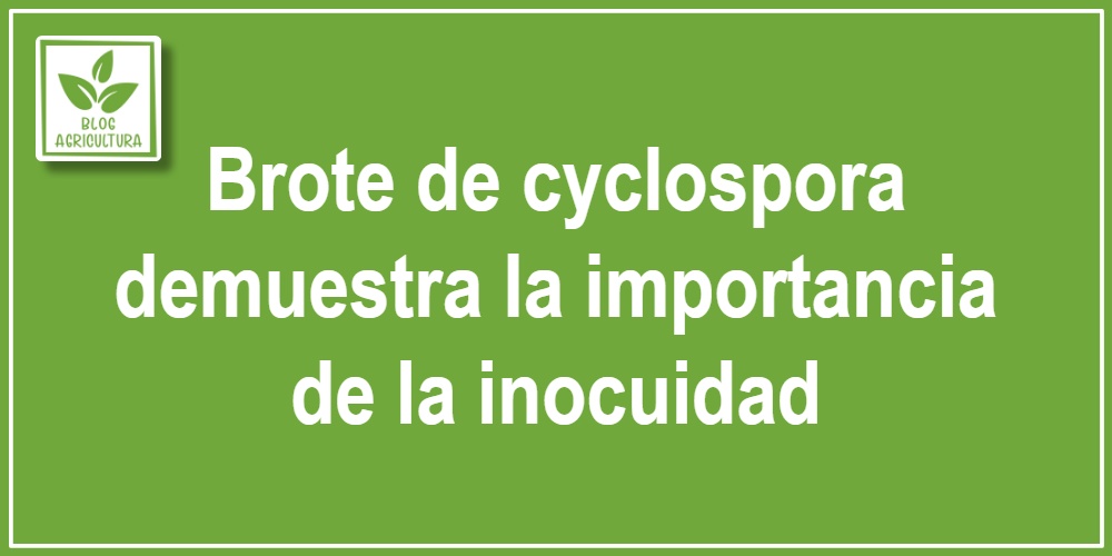 Brote de cyclospora demuestra la importancia de la inocuidad