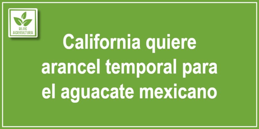 California quiere arancel temporal para el aguacate mexicano