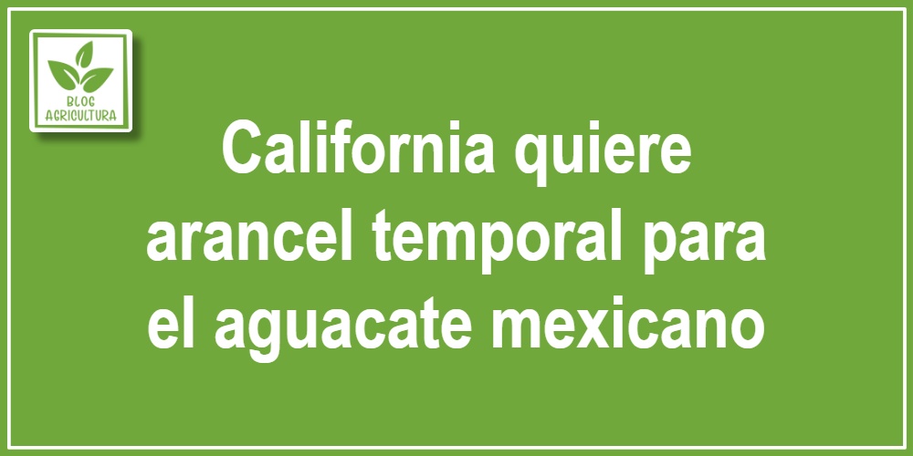 California quiere arancel temporal para el aguacate mexicano