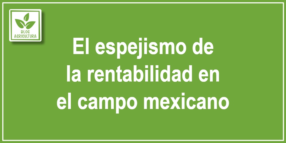 El espejismo de la rentabilidad en el campo mexicano