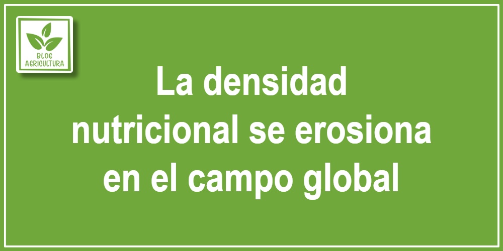La densidad nutricional se erosiona en el campo global