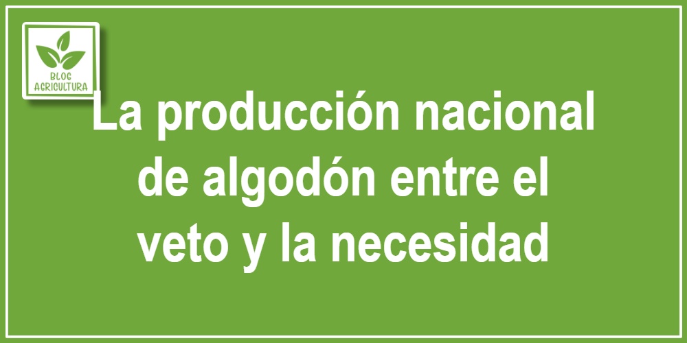 La producción nacional de algodón entre el veto y la necesidad