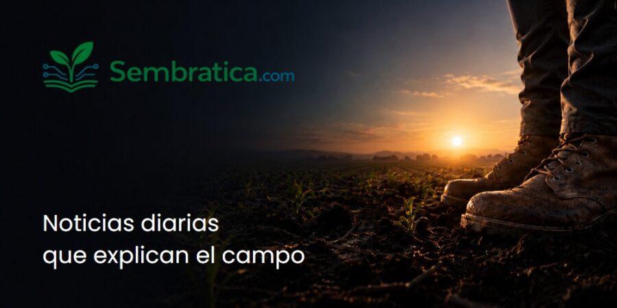 Sembratica — Banner