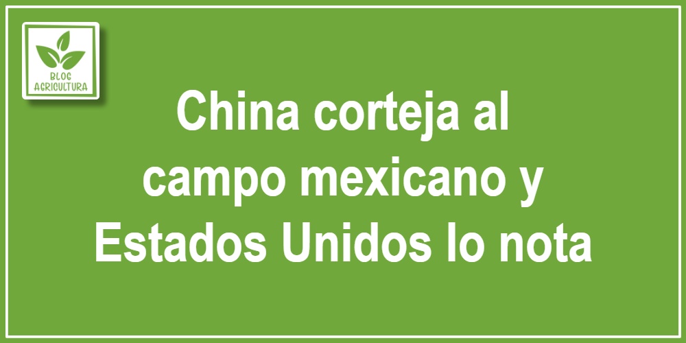 China corteja al campo mexicano y Estados Unidos lo nota