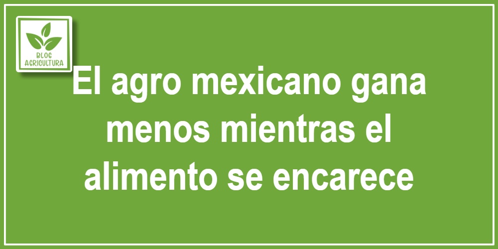 El agro mexicano gana menos mientras el alimento se encarece