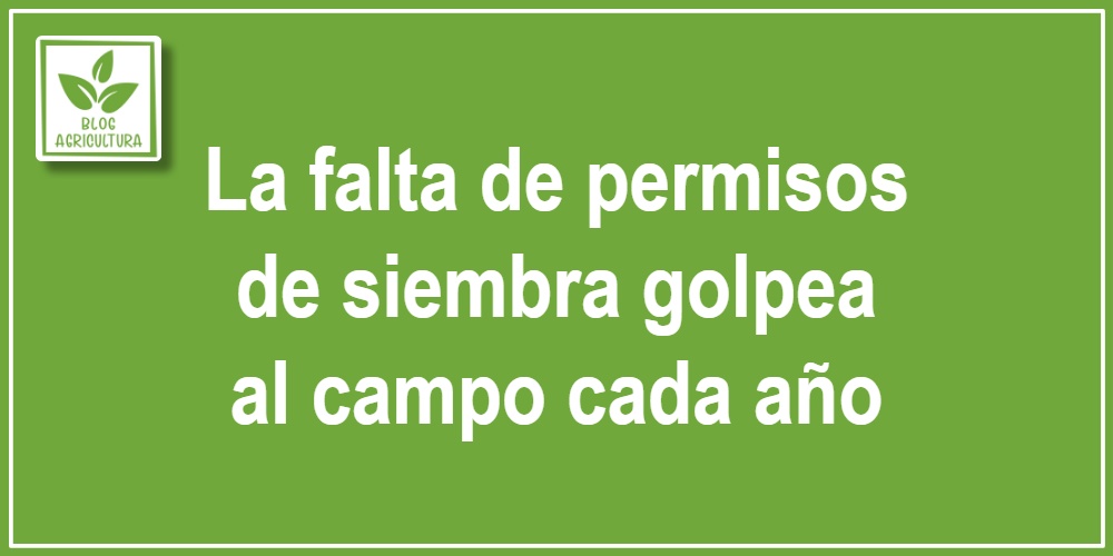 La falta de permisos de siembra golpea al campo cada año