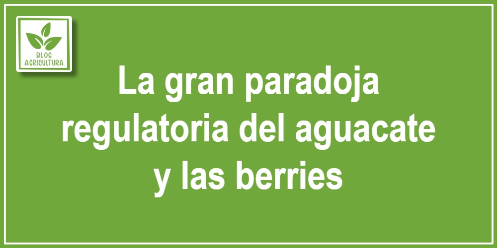 La gran paradoja regulatoria del aguacate y las berries
