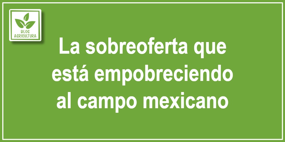 La sobreoferta que está empobreciendo al campo mexicano