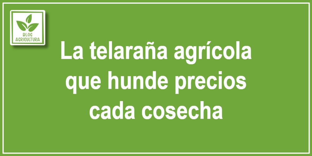 La telaraña agrícola que hunde precios cada cosecha