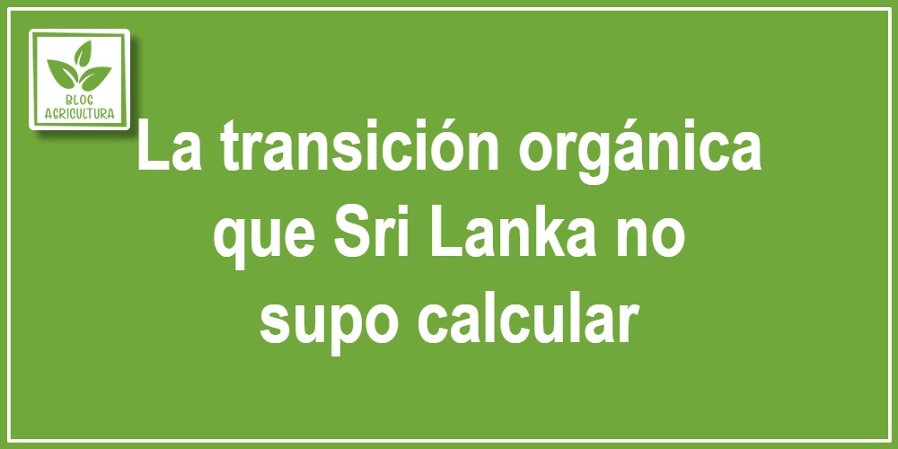 La transición orgánica que Sri Lanka no supo calcular