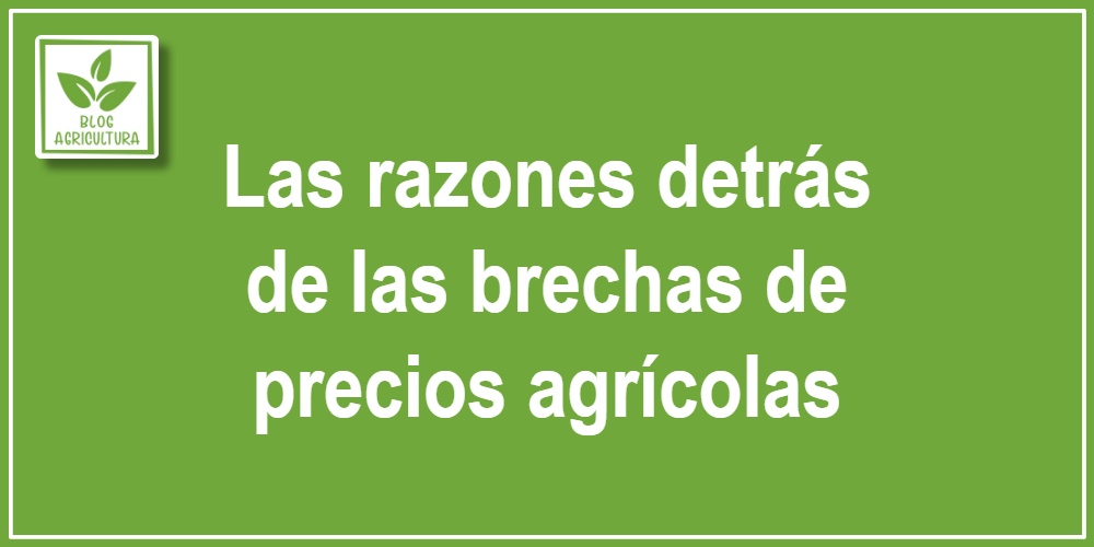 Las razones detrás de las brechas de precios agrícolas