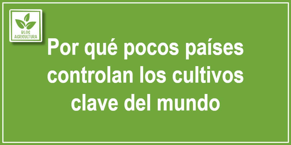Por qué pocos países controlan los cultivos clave del mundo
