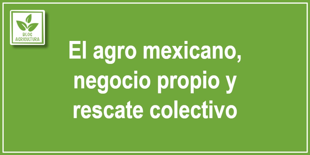El agro mexicano, negocio propio y rescate colectivo