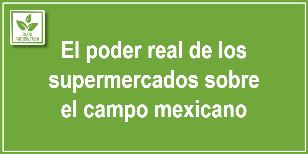 El poder real de los supermercados sobre el campo mexicano