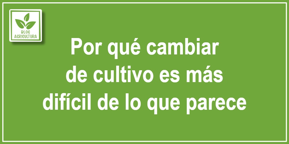 Por qué cambiar de cultivo es más difícil de lo que parece