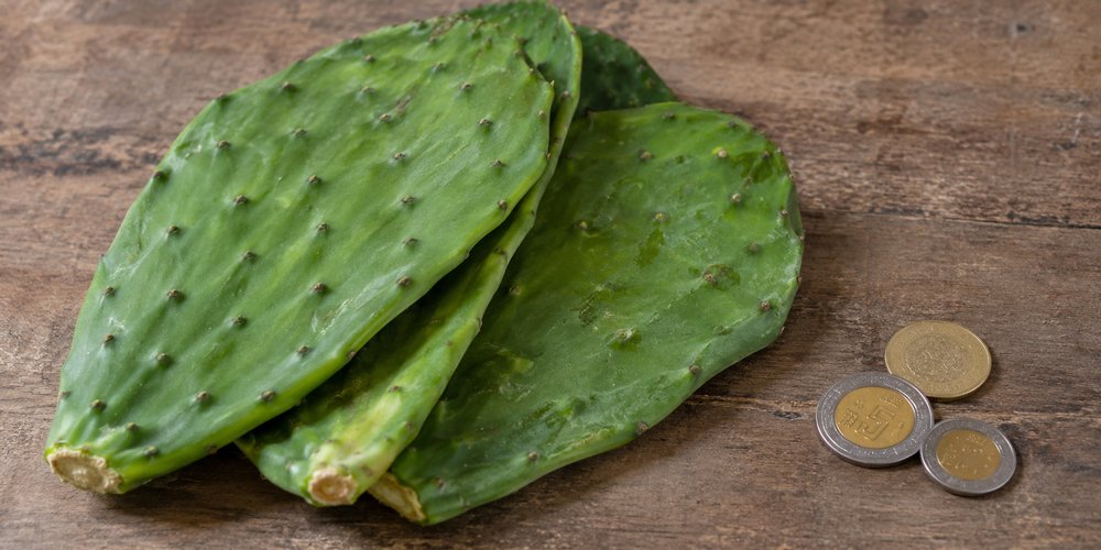 El precio del nopal sube ante una menor oferta estacional