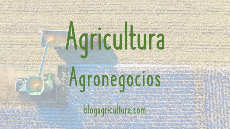 Agricultura Agronegocios