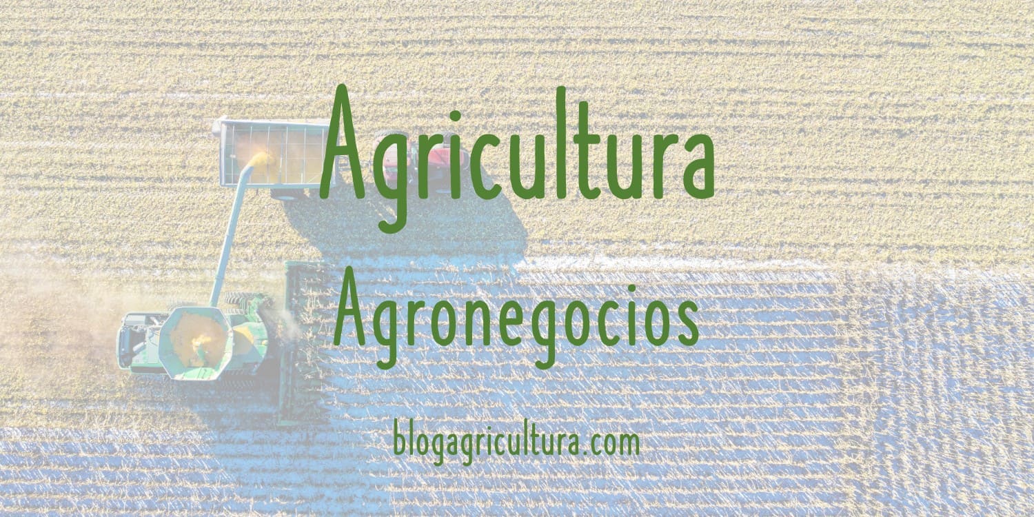 Agricultura Agronegocios