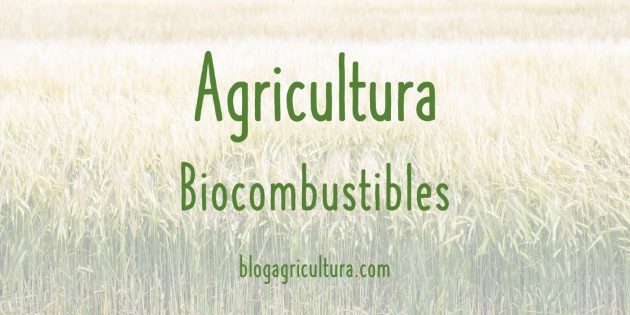 Agricultura Biocombustibles