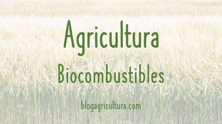Agricultura Biocombustibles