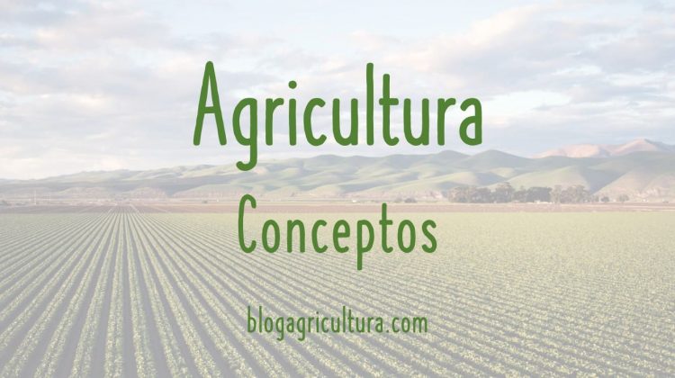 Agricultura Conceptos