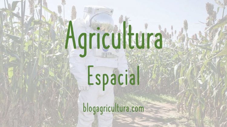 Agricultura Espacial