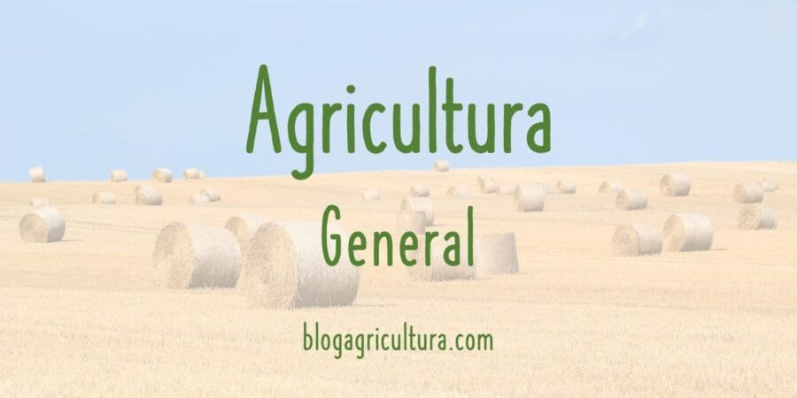 La agricultura actual se está alejando cada vez más del campesino tradicional