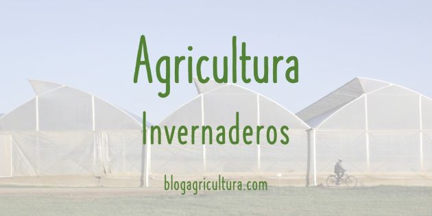 Agricultura Invernaderos