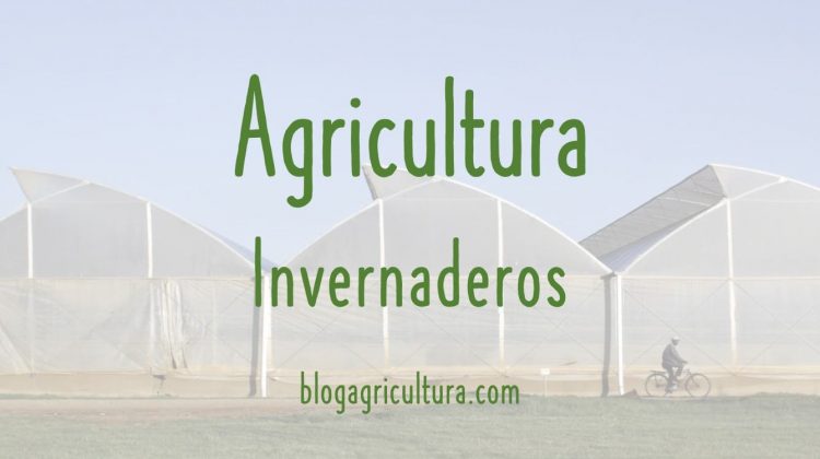Agricultura Invernaderos