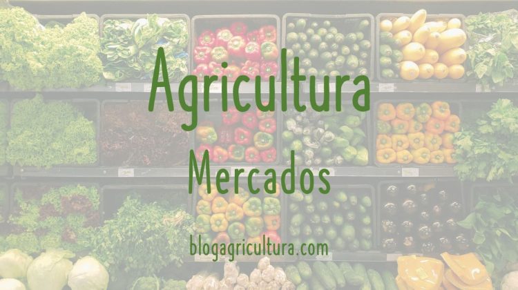 Agricultura Mercados