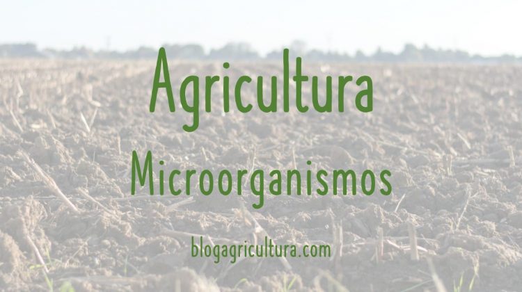 Agricultura Microorganismos