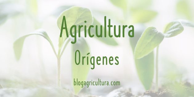 Agricultura Orígenes