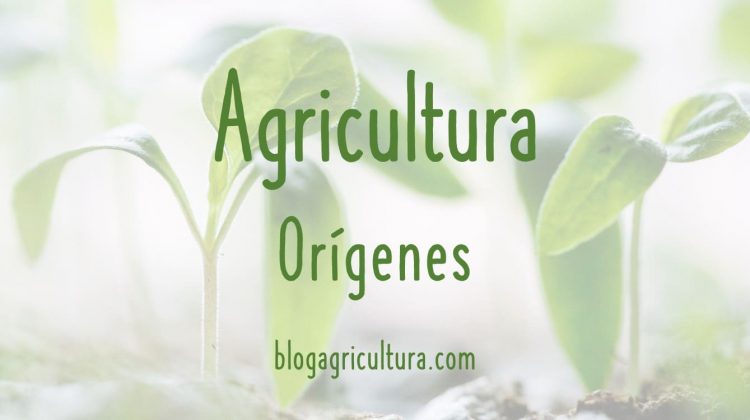 Agricultura Orígenes