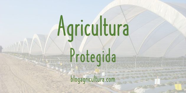 Agricultura Protegida
