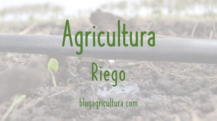 Agricultura Riego