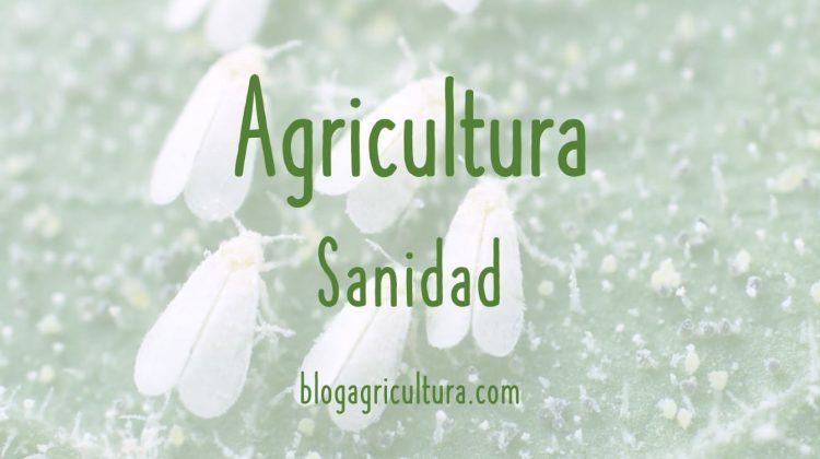 Agricultura Sanidad
