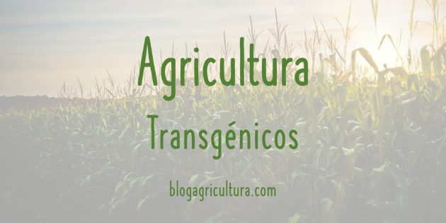 Agricultura Transgénicos